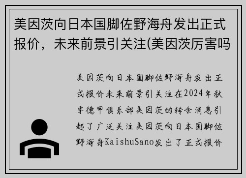 美因茨向日本国脚佐野海舟发出正式报价，未来前景引关注(美因茨厉害吗)