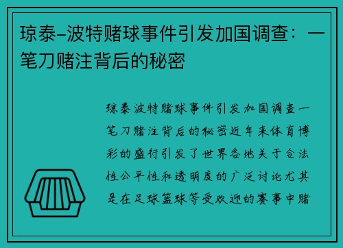 琼泰-波特赌球事件引发加国调查：一笔刀赌注背后的秘密